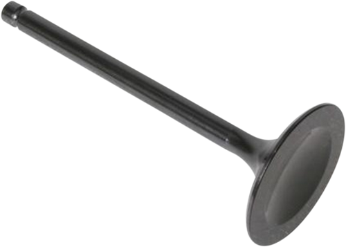 Intake Valve