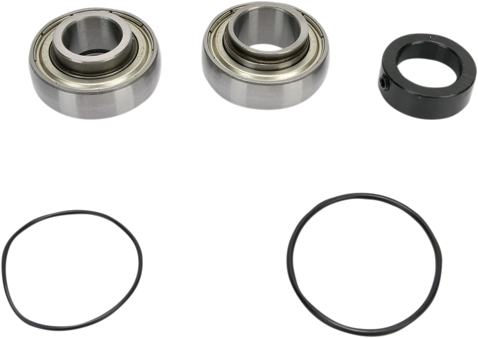 Chain Case Bearing and Seal Kit