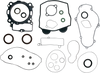 Motor Gasket Kit with Seal - KTM