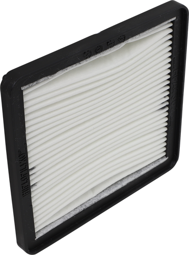 Crankcase Air Filter - Yamaha