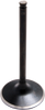 Intake Valve