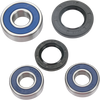 Wheel Bearing Kit - Rear