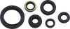 Oil Seal Set - Kawasaki