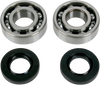 Crank Bearings and Seals - Kawasaki/Suzuki