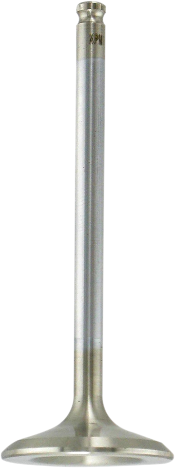 Exhaust Valve