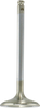 Intake Valve
