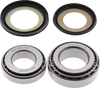 Steering Stem Bearing Kit