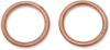 Exhaust Gasket Kit - Honda/Polaris/Suzuki