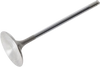 Intake Valve