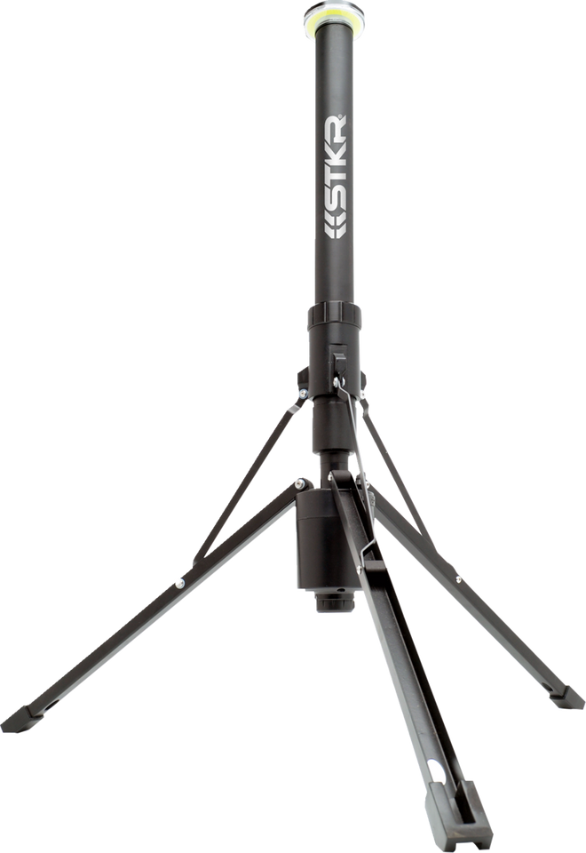 Light - LED - 2600 Lumens - Telescoping - Wireless Remote Control