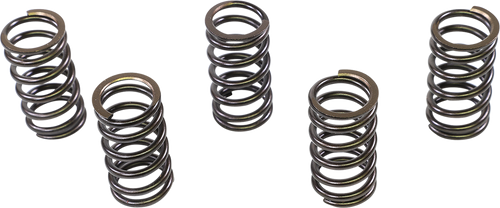 Valve Springs - Intake/Exhaust - Yamaha