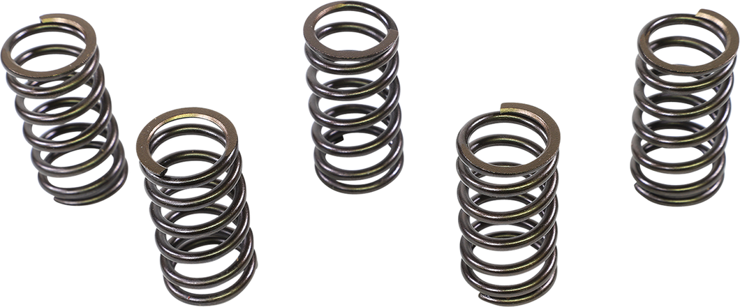 Valve Springs - Intake/Exhaust - Yamaha