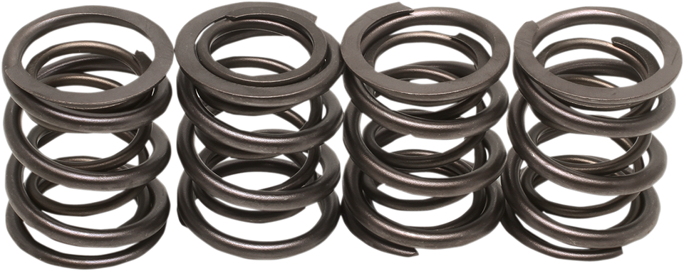 Valve Springs - Big Twin