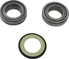 Steering Stem Bearing
