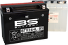 Battery - BTX24HL-BS (YTX)