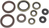 Motor Oil Seals - KTM