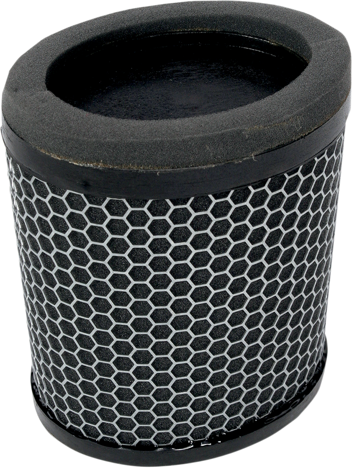 Replacement OEM Air Filter - Triumph