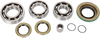 Differential Bearing/Seal Kit - Can-Am - Rear