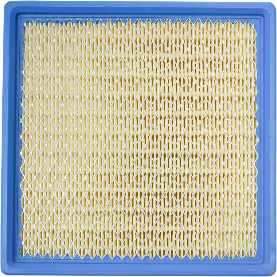 Replacement Air Filter - Polaris