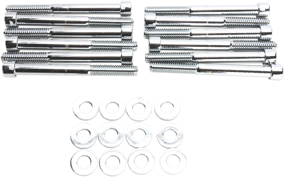 Bolt Kit - Motor Case - Socket-Head - Chrome - M8 - Lutzka's Garage