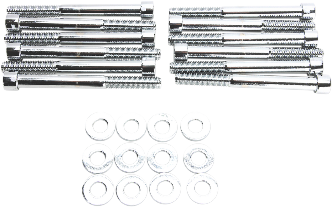Bolt Kit - Motor Case - Socket-Head - Chrome - M8 - Lutzka's Garage