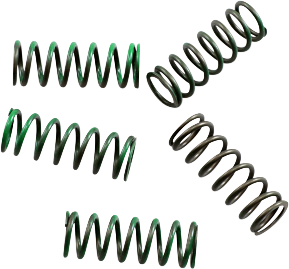 Clutch Spring Kit