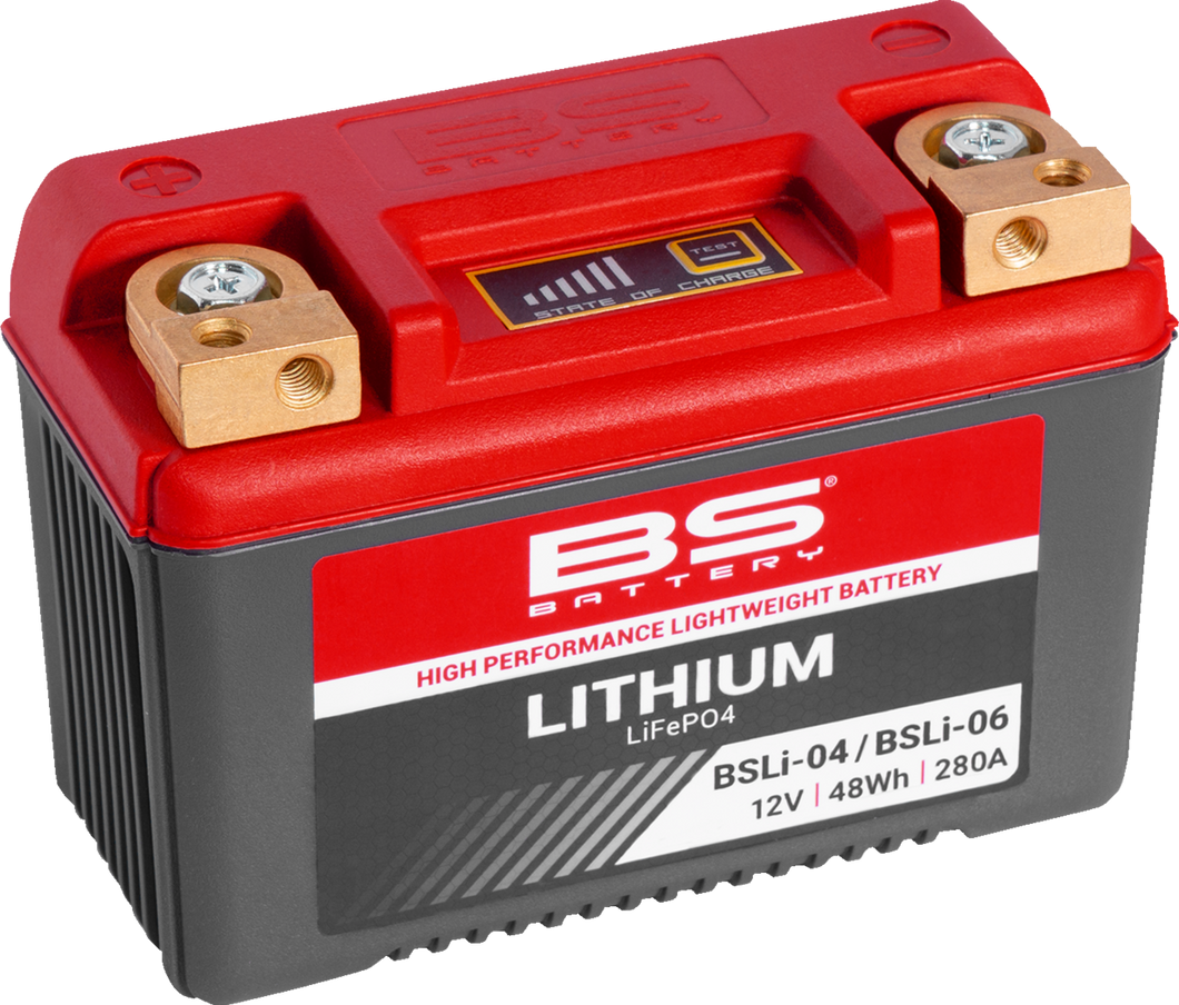 Lithium Battery - BSLi-04/06