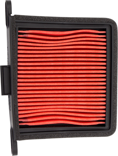 OEM Replacement Air Filter - Left - Triumph
