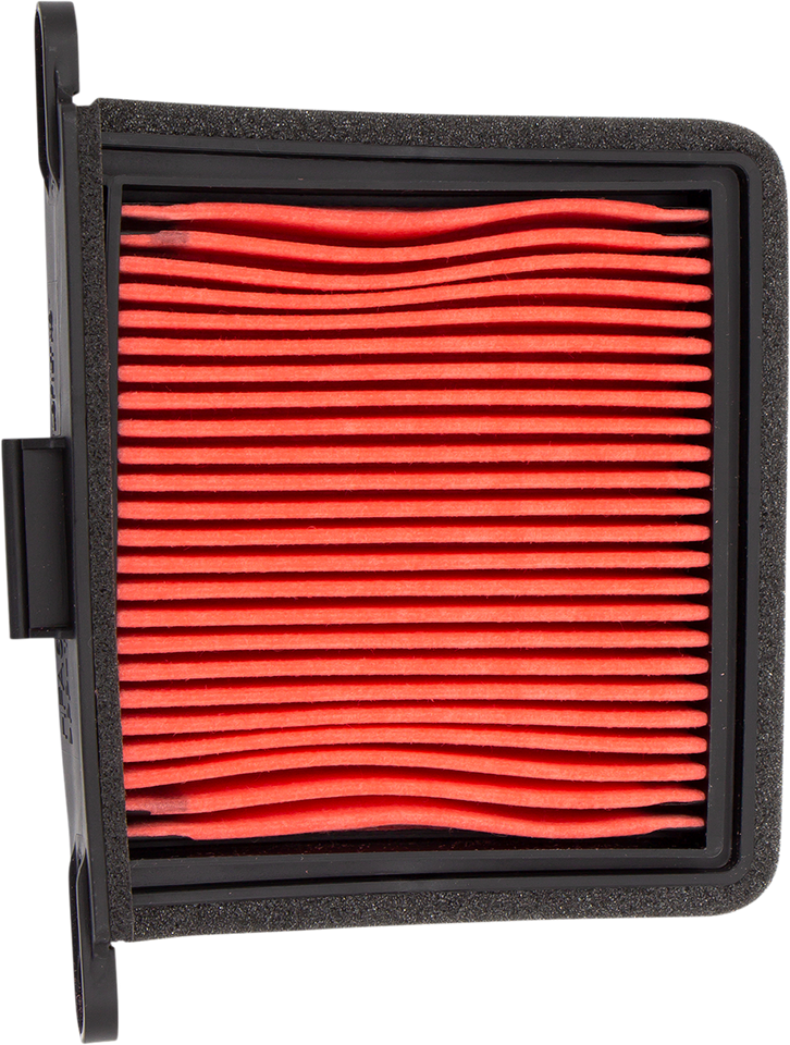 OEM Replacement Air Filter - Left - Triumph