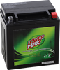 Battery - GIX30L