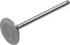 Intake Valve