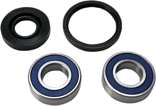 Chain Case Bearing and Seal Kit