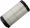 Air Filter - Polaris