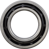 Replacement Bearing