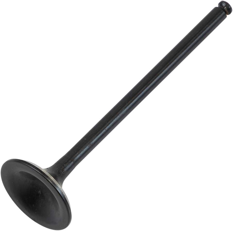 Exhaust Valve