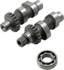 TW57 Grind Cam - Twin Cam
