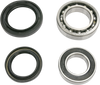 Wheel Bearing Kit - Rear - Yamaha
