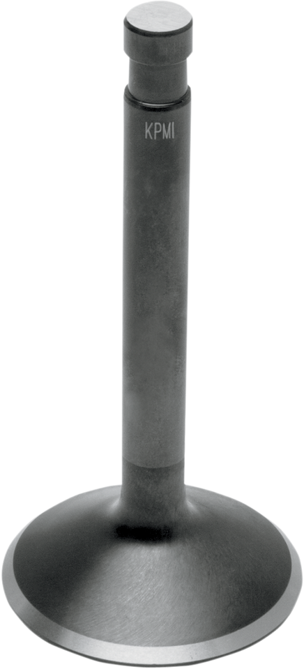 Intake Valve - Big Twin
