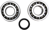 Crank Bearing and Seal Kit - Yamaha