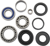 Differential Bearing/Seal Kit - LTZ/LTF - Rear