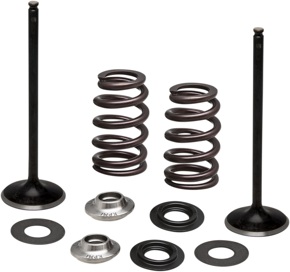 Spring Kit - Intake Only