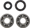 Main Bearing Kit