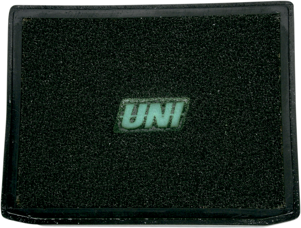 Replacement OEM Air Filter - BMW