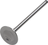 Exhaust Valve