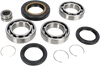 Differential Bearing/Seal Kit - Rear - Honda