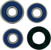 Wheel Bearing Kit - Rear