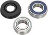 Chain Case Bearing and Seal Kit