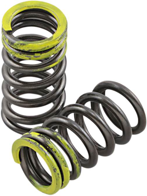 Valve Springs - Intake - Kawasaki | Suzuki