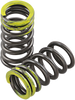 Valve Springs - Intake - Kawasaki | Suzuki