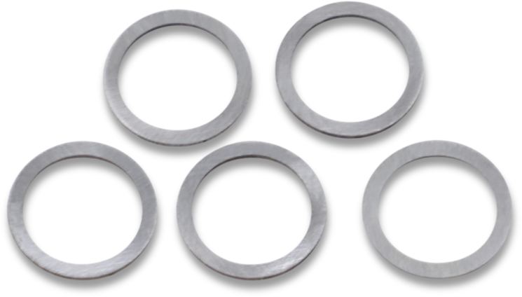 Cam Gear Shims - Big Twin
